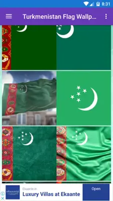 Turkmenistan Flag Wallpaper F android App screenshot 7